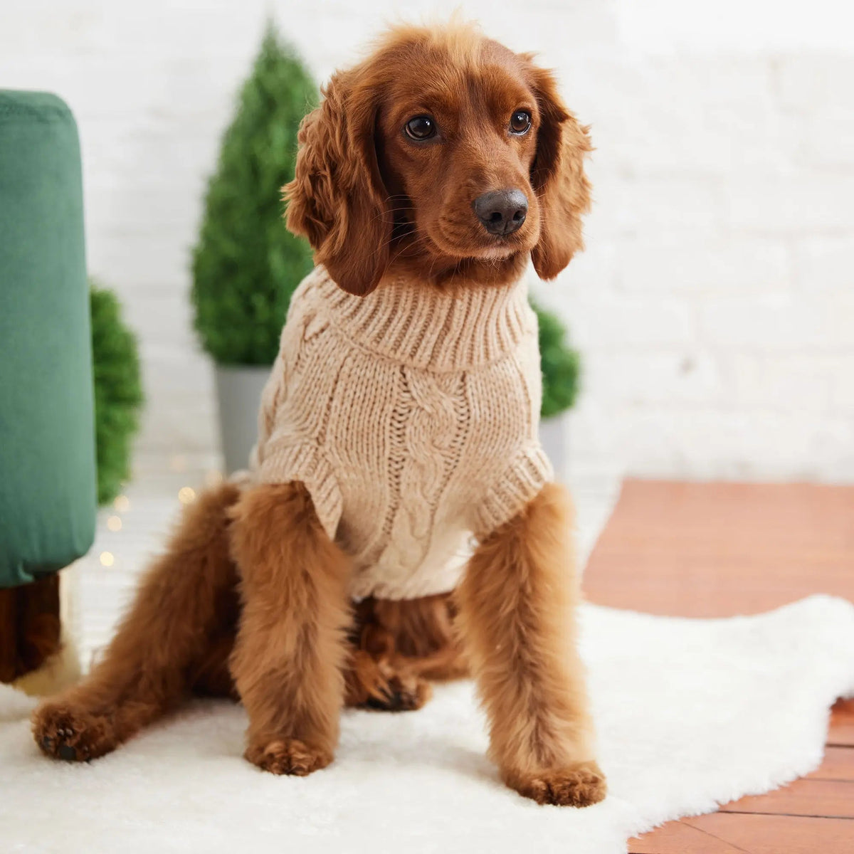Cable Knit Dog Sweater – Oatmeal Mix Turtleneck