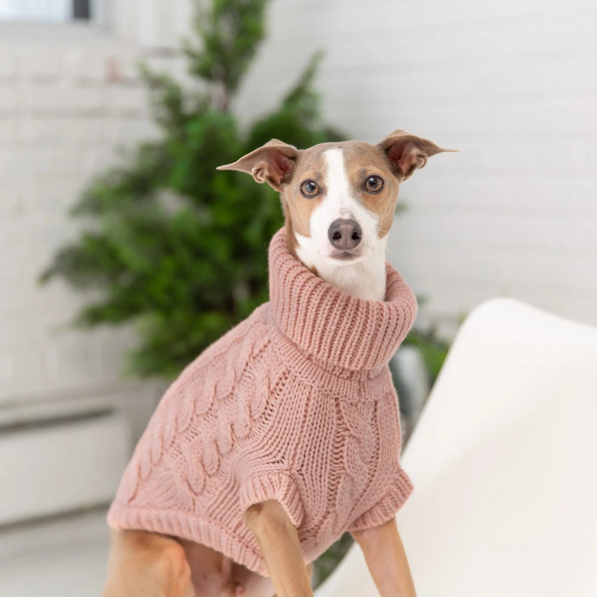 Cable Knit Dog Sweater – Pink Turtleneck for Dogs