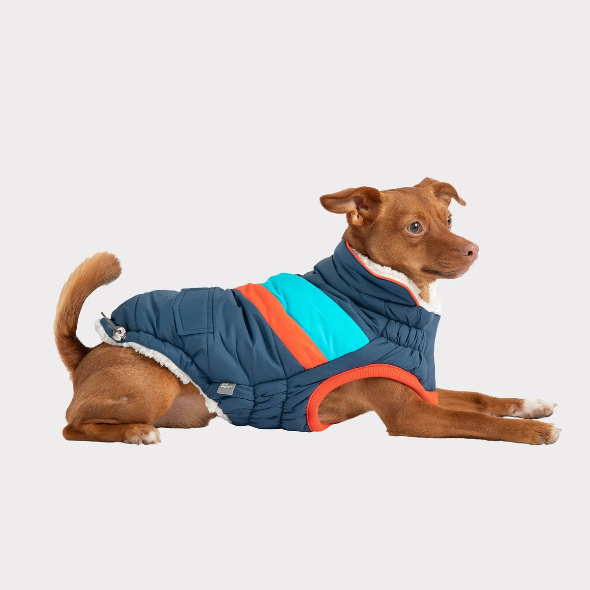 Dog Puffer Jacket | Water-Repellent Alpine Coat Dark Blue
