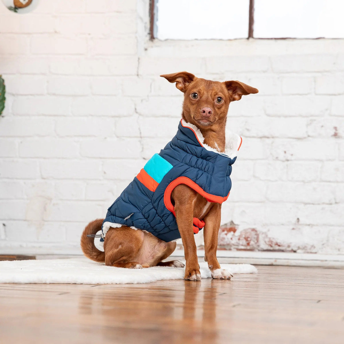Dog Puffer Jacket | Water-Repellent Alpine Coat Dark Blue