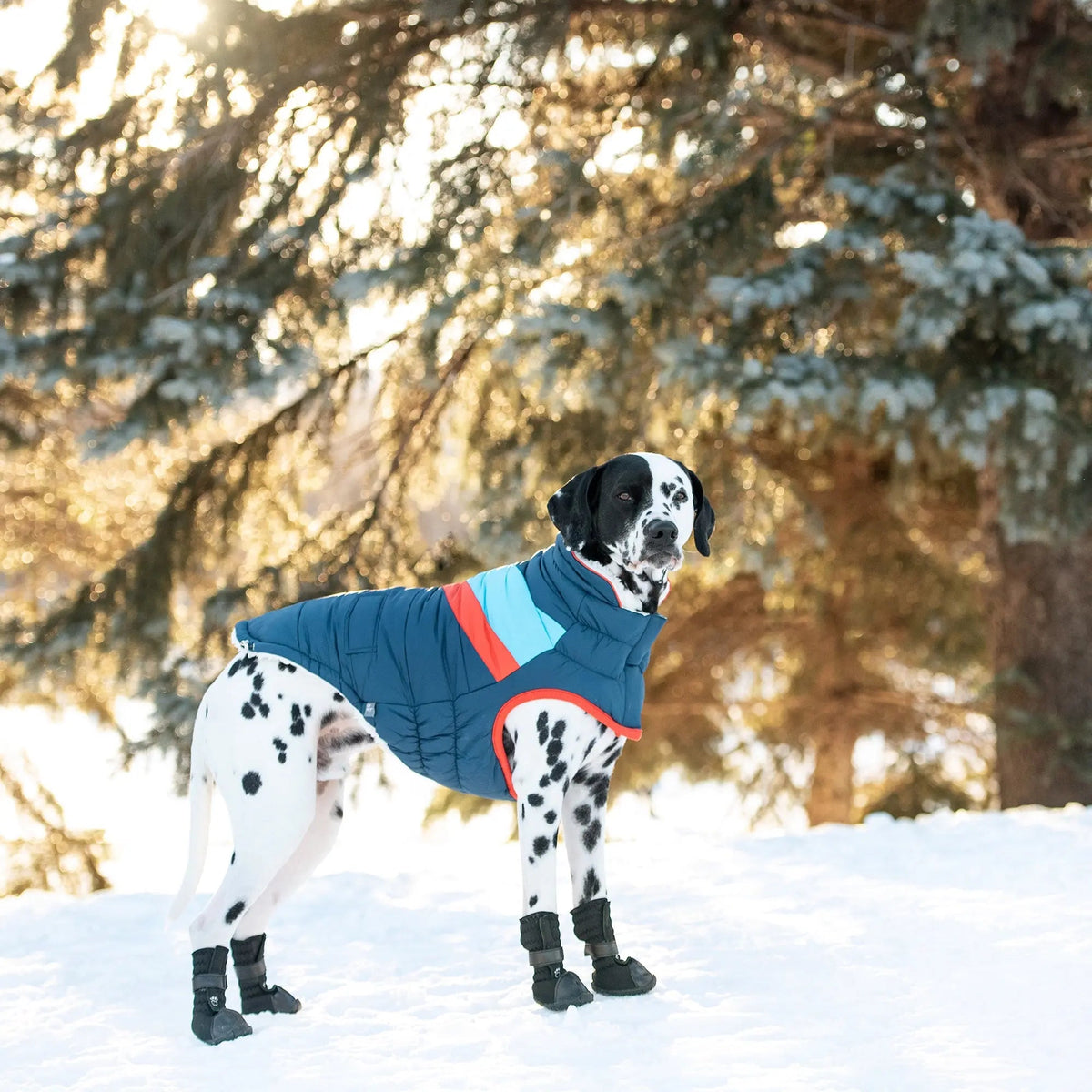 Dog Puffer Jacket | Water-Repellent Alpine Coat Dark Blue