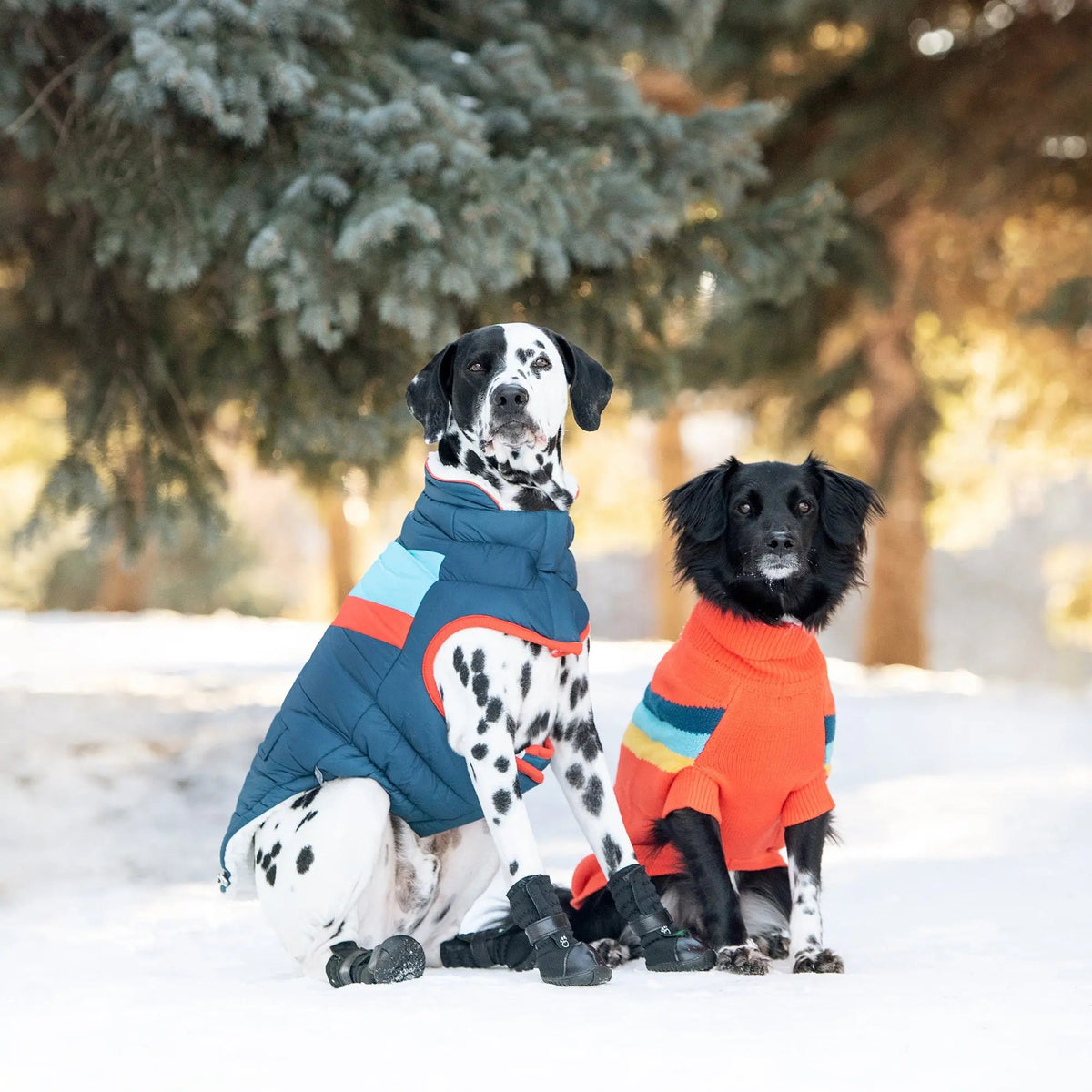 Dog Puffer Jacket | Water-Repellent Alpine Coat Dark Blue