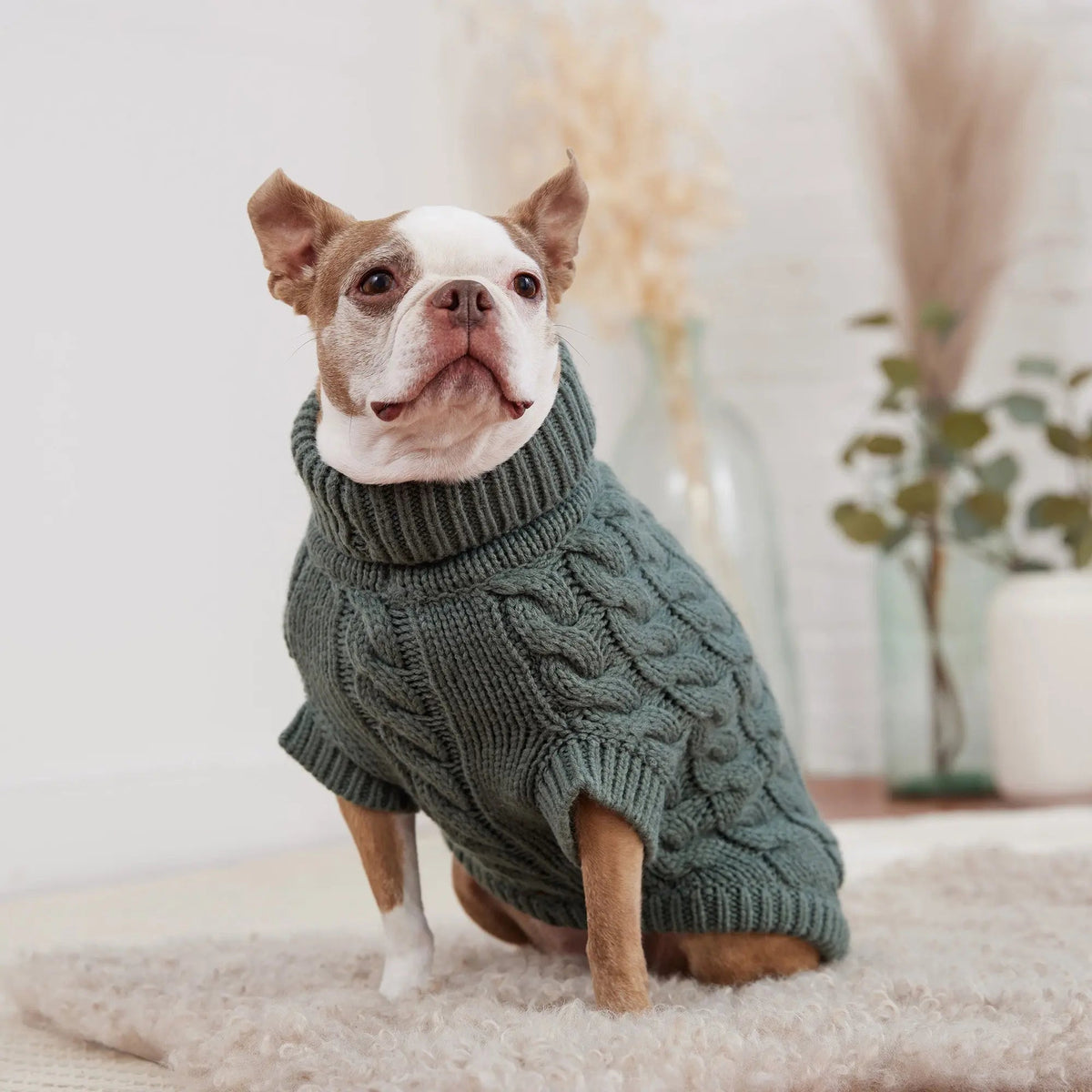 Cable Knit Dog Sweater in Sage Green | GF PET Chalet
