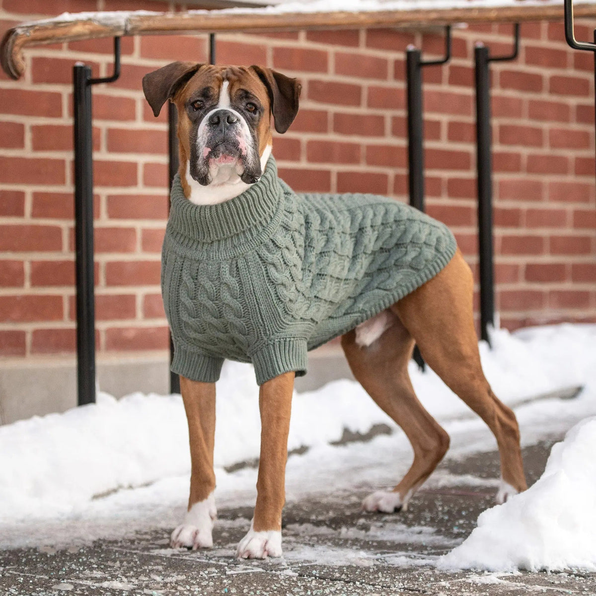 Cable Knit Dog Sweater in Sage Green | GF PET Chalet