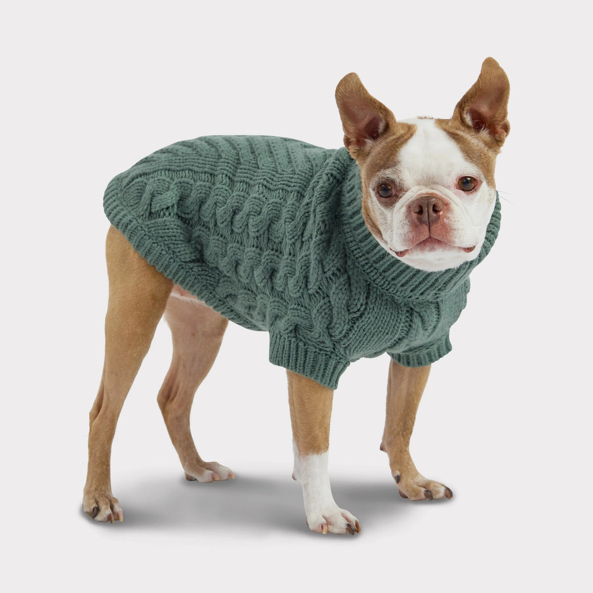 Cable Knit Dog Sweater in Sage Green | GF PET Chalet