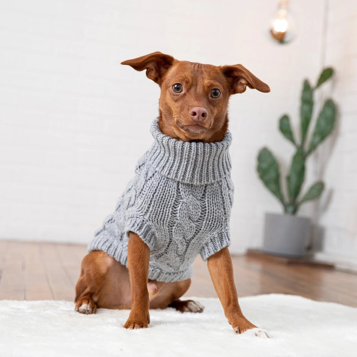 Cable Knit Dog Sweater Grey Mix | Cozy Turtleneck