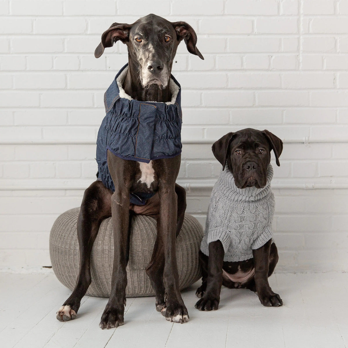 Cable Knit Dog Sweater Grey Mix | Cozy Turtleneck