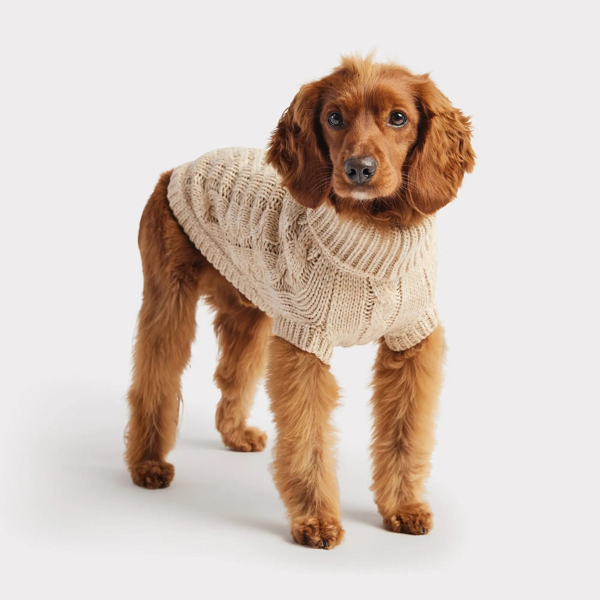 Cable Knit Dog Sweater – Oatmeal Mix Turtleneck