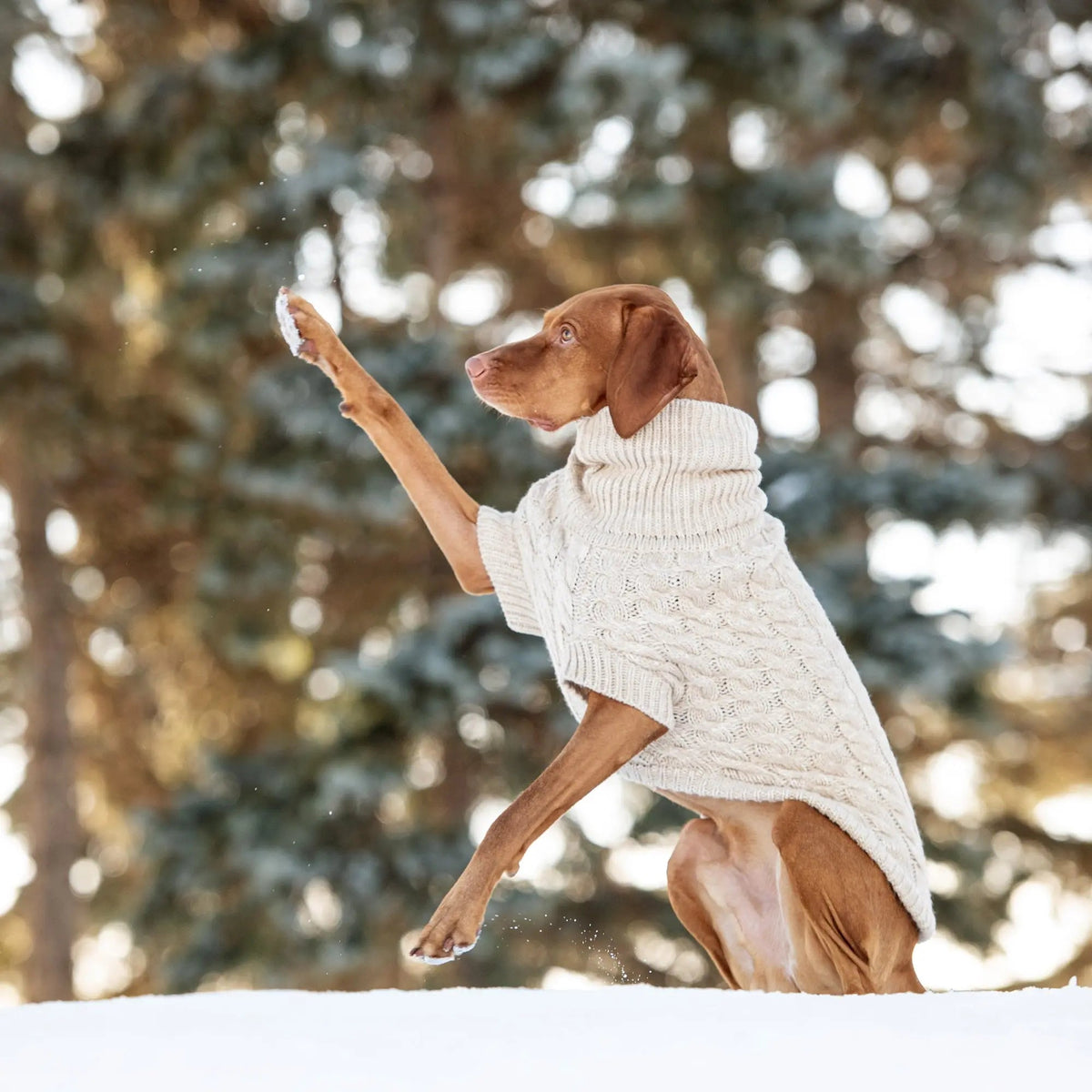 Cable Knit Dog Sweater – Oatmeal Mix Turtleneck