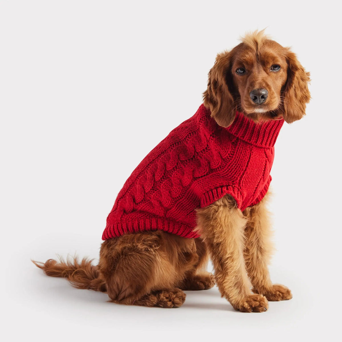 Red Cable Knit Dog Sweater | Cozy Turtleneck Pullover