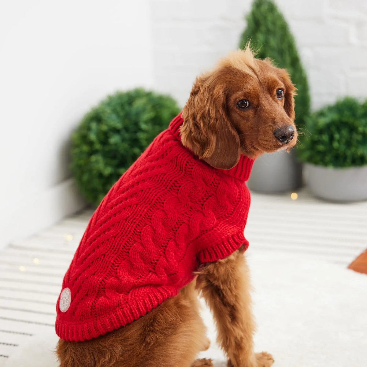 Red Cable Knit Dog Sweater | Cozy Turtleneck Pullover