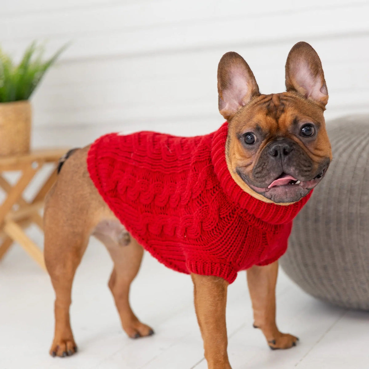 Red Cable Knit Dog Sweater | Cozy Turtleneck Pullover