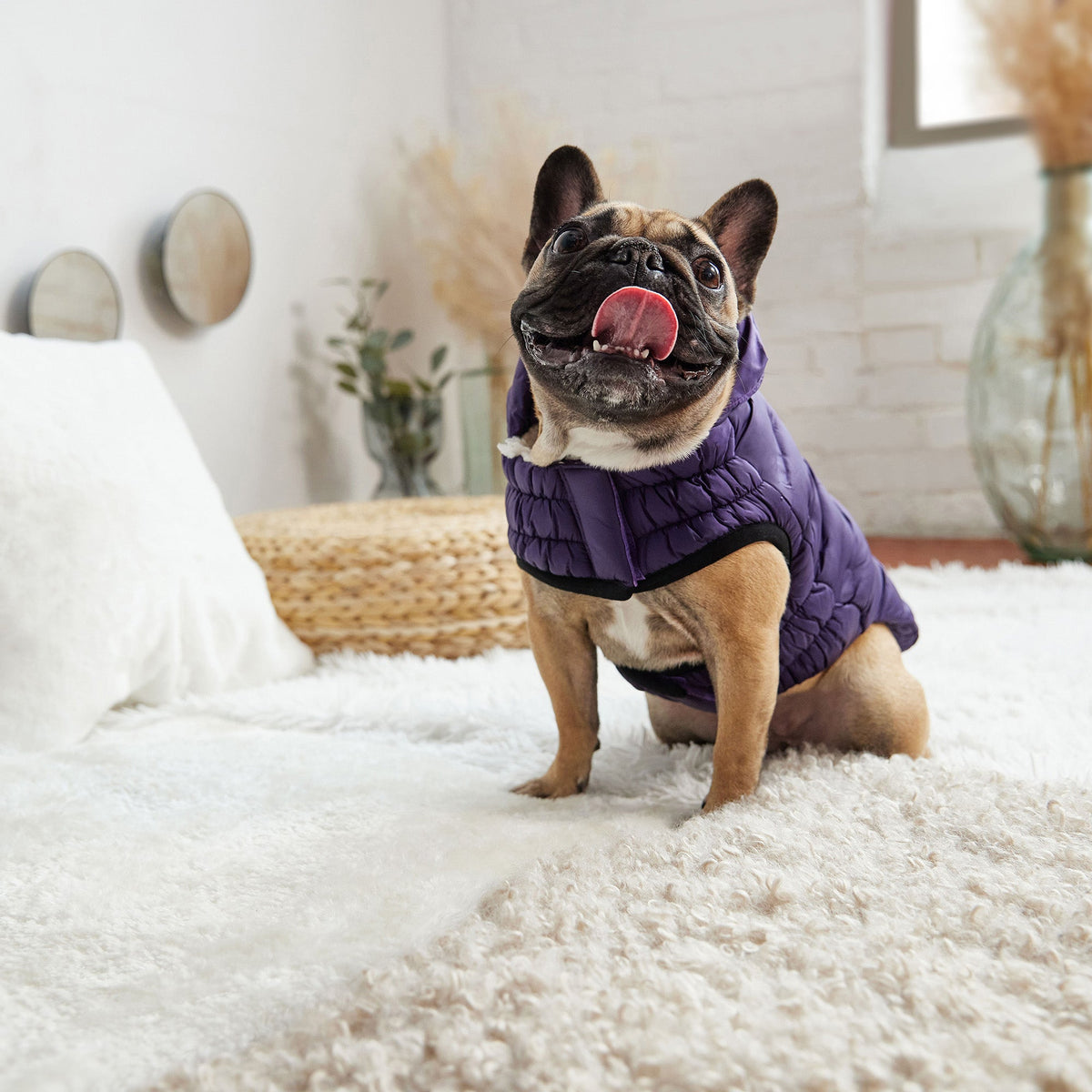 Purple Quilted Dog Parka – Lightweight Winter Jacket