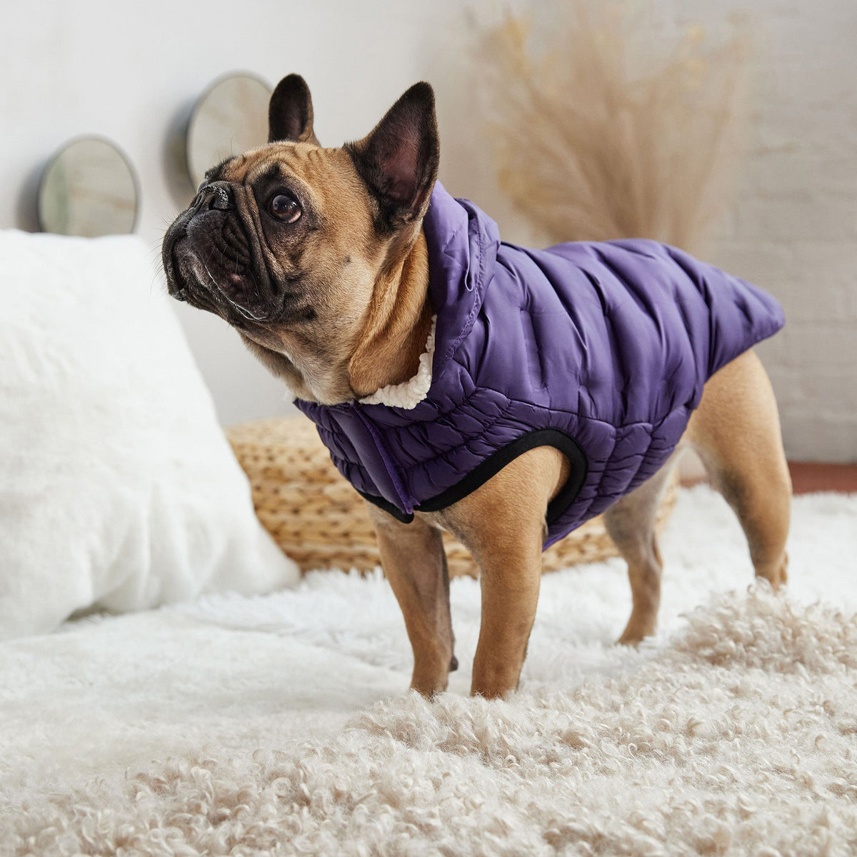 Purple Quilted Dog Parka – Lightweight Winter Jacket