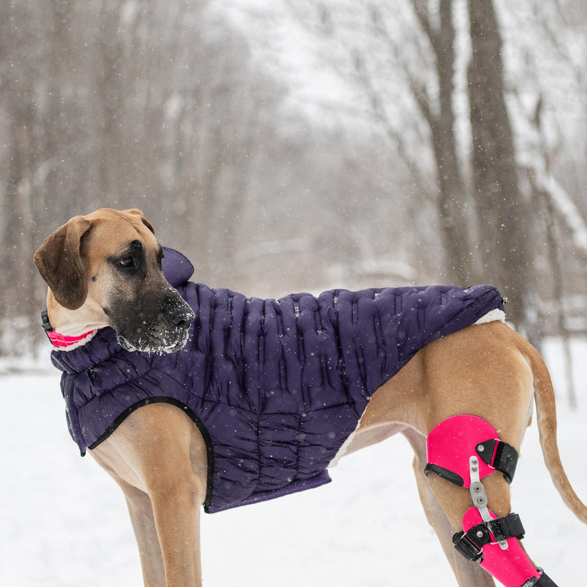 Purple Quilted Dog Parka – Lightweight Winter Jacket