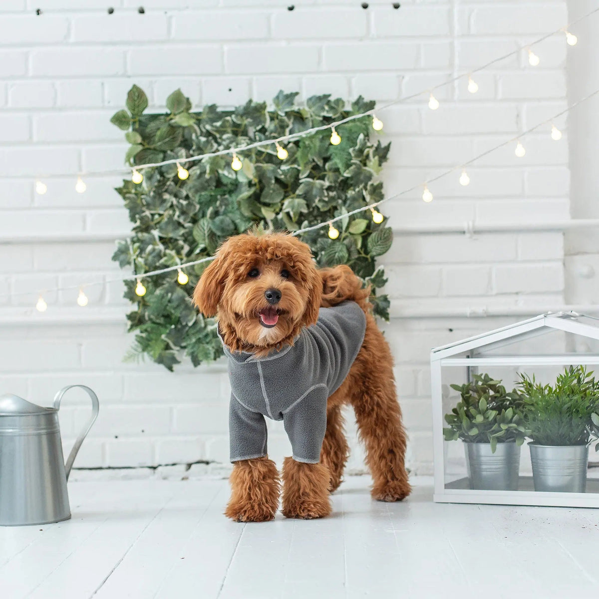 4-Way Stretch Fleece Base Layer for Dogs | Charcoal