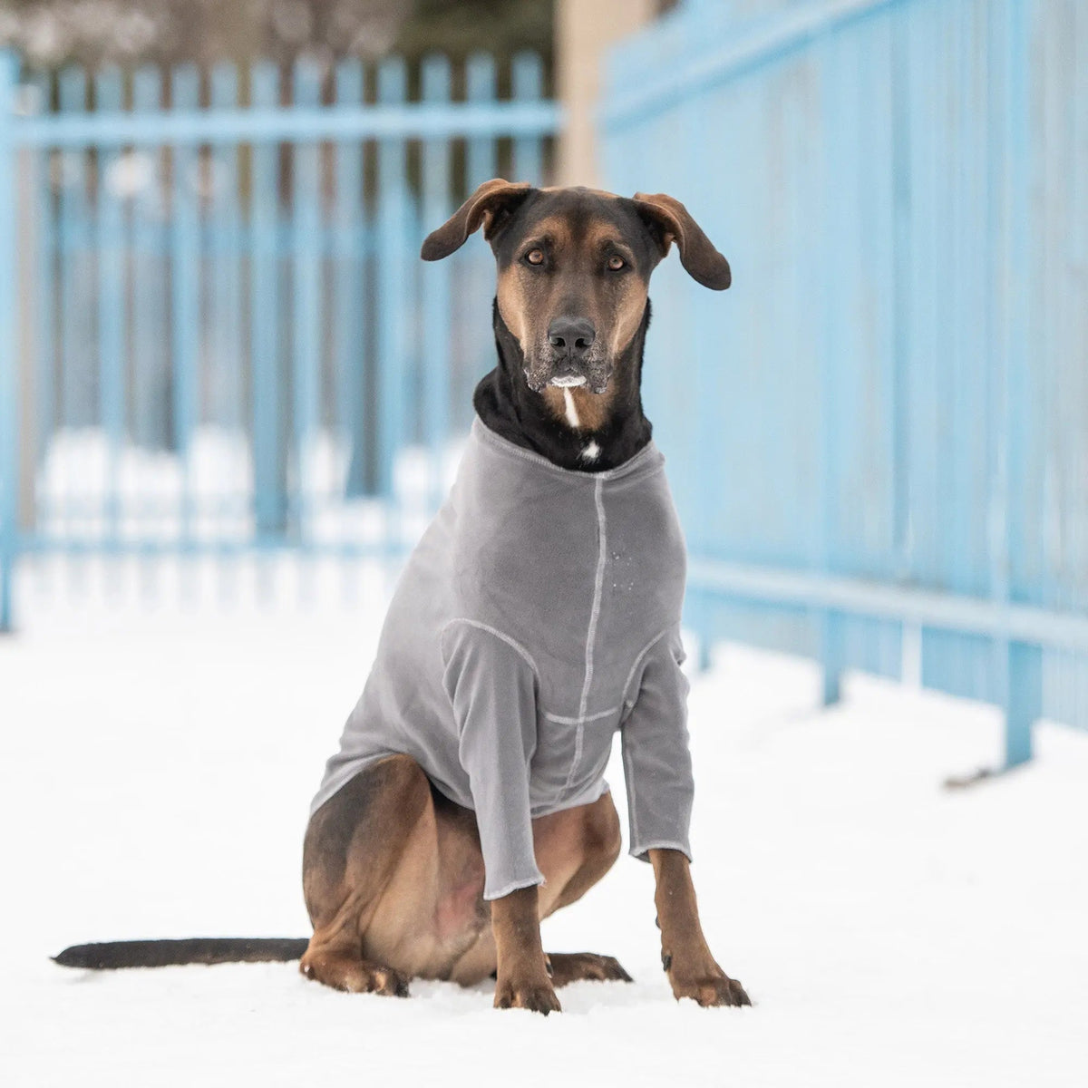 4-Way Stretch Fleece Base Layer for Dogs | Charcoal