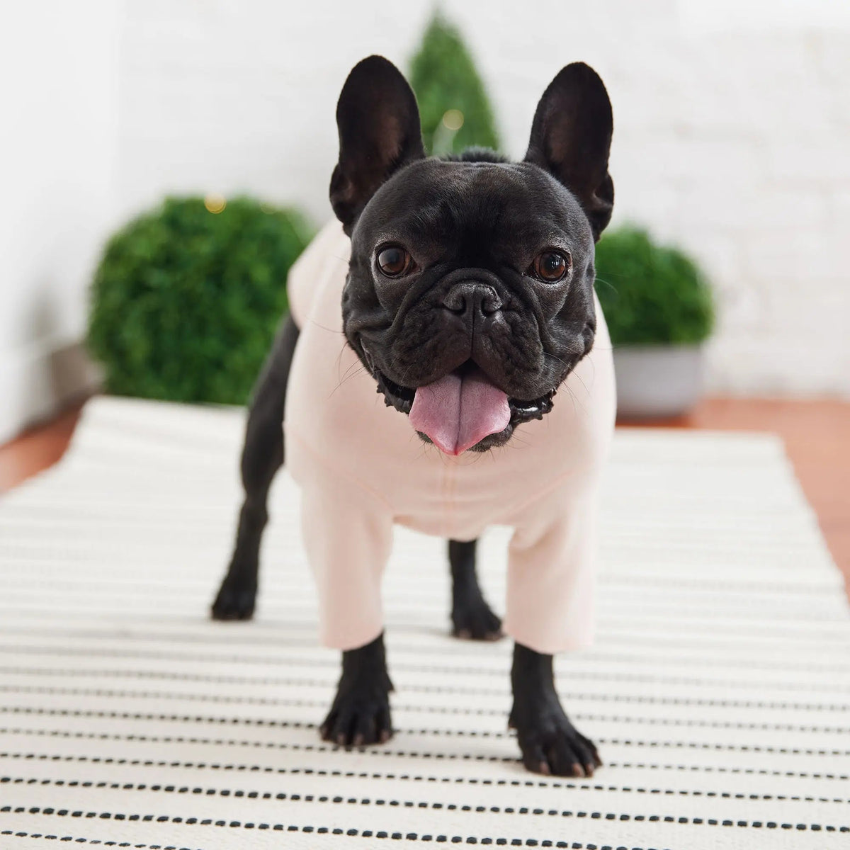 Dog Base Layer Shirt Pink | 4-Way Stretch Fleece