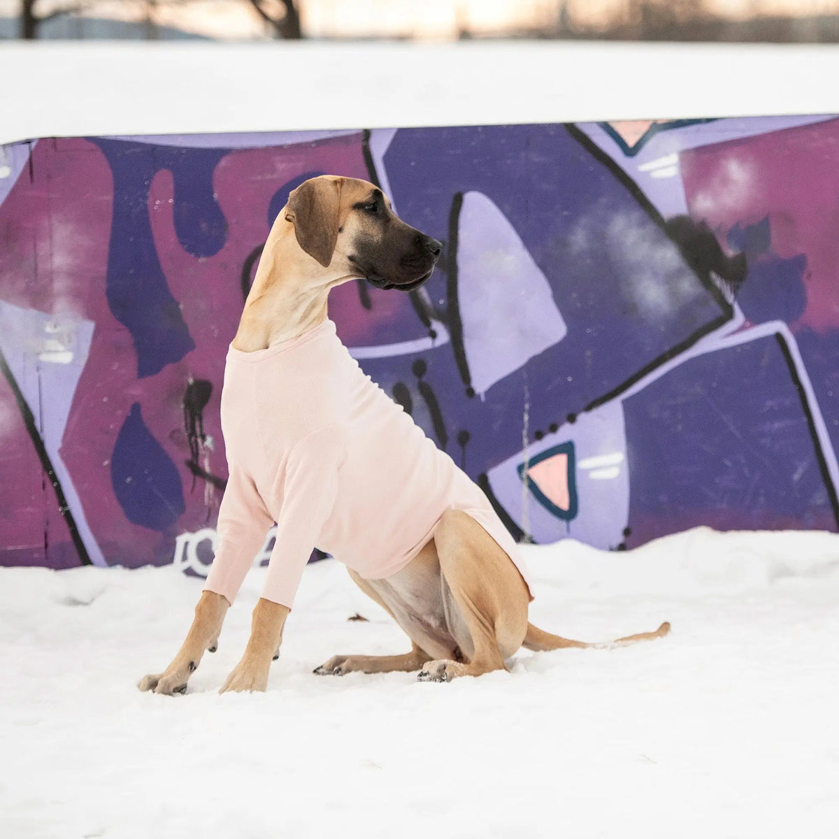 Dog Base Layer Shirt Pink | 4-Way Stretch Fleece