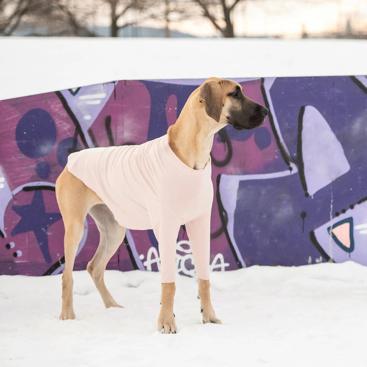 Dog Base Layer Shirt Pink | 4-Way Stretch Fleece