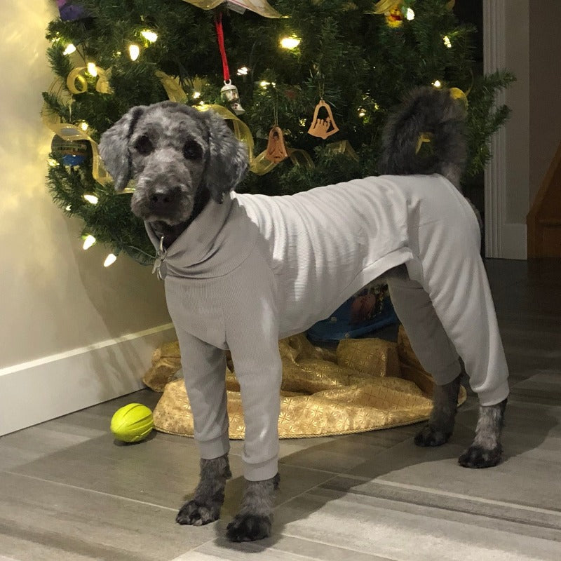 Cotton Turtleneck Dog Sweater – Cozy Winter Warmth for All Breeds