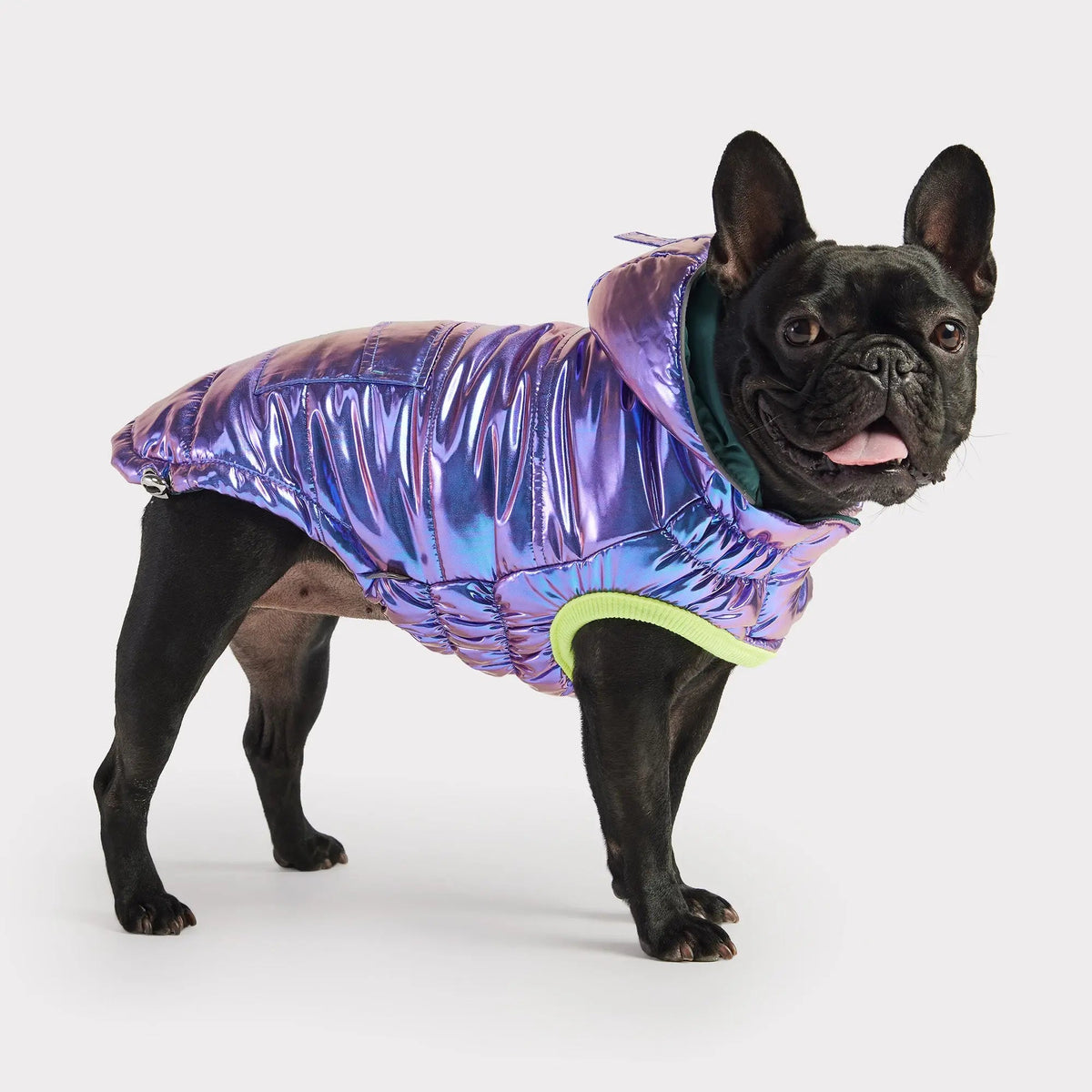 Recycled Dog Parka Iridescent | Weather-Resistant Pet Jacket