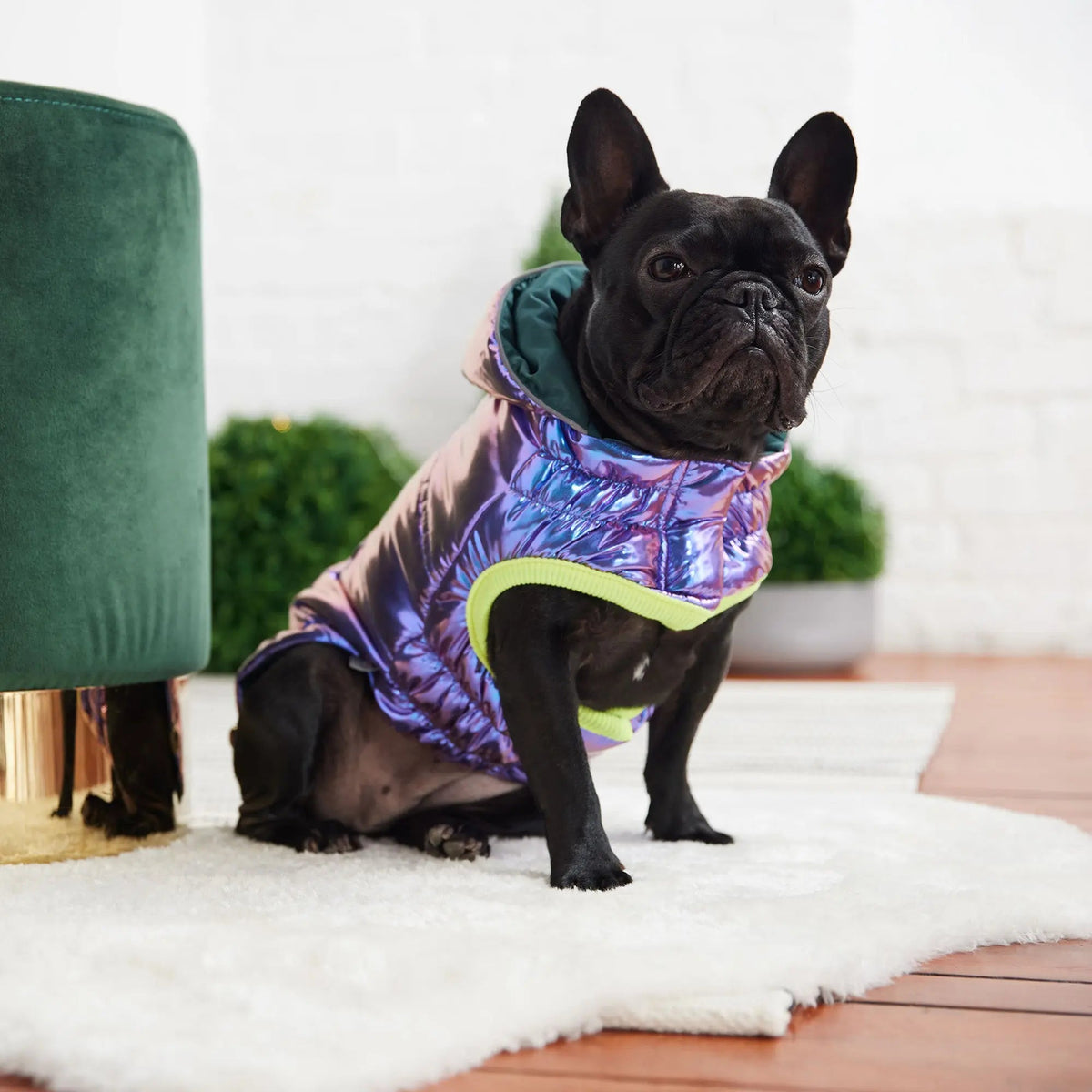 Recycled Dog Parka Iridescent | Weather-Resistant Pet Jacket