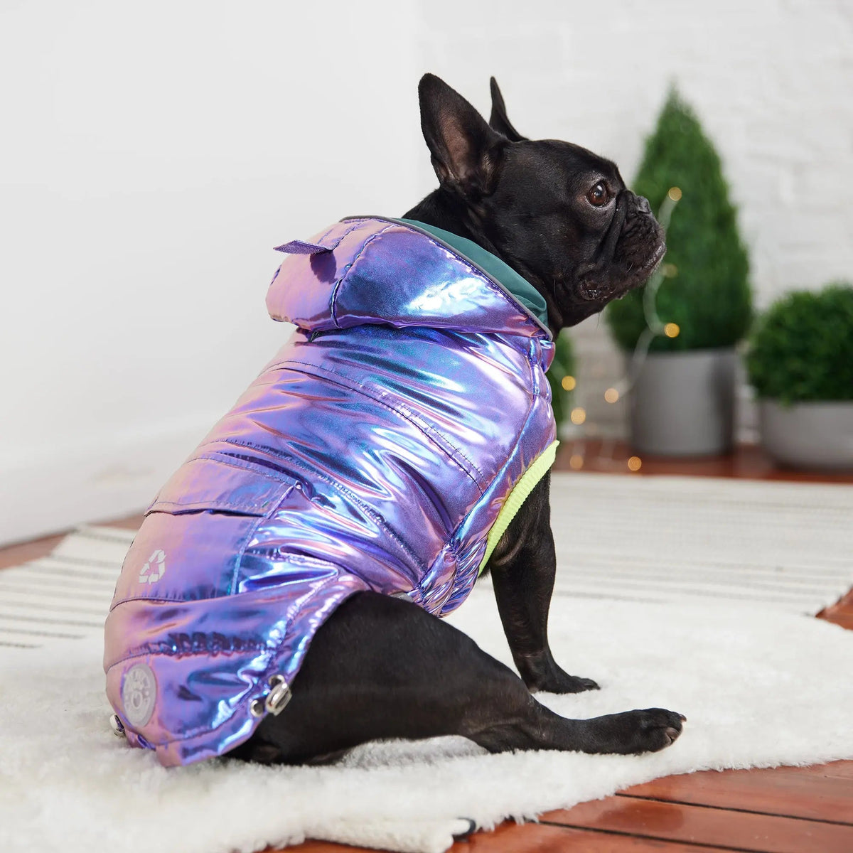 Recycled Dog Parka Iridescent | Weather-Resistant Pet Jacket