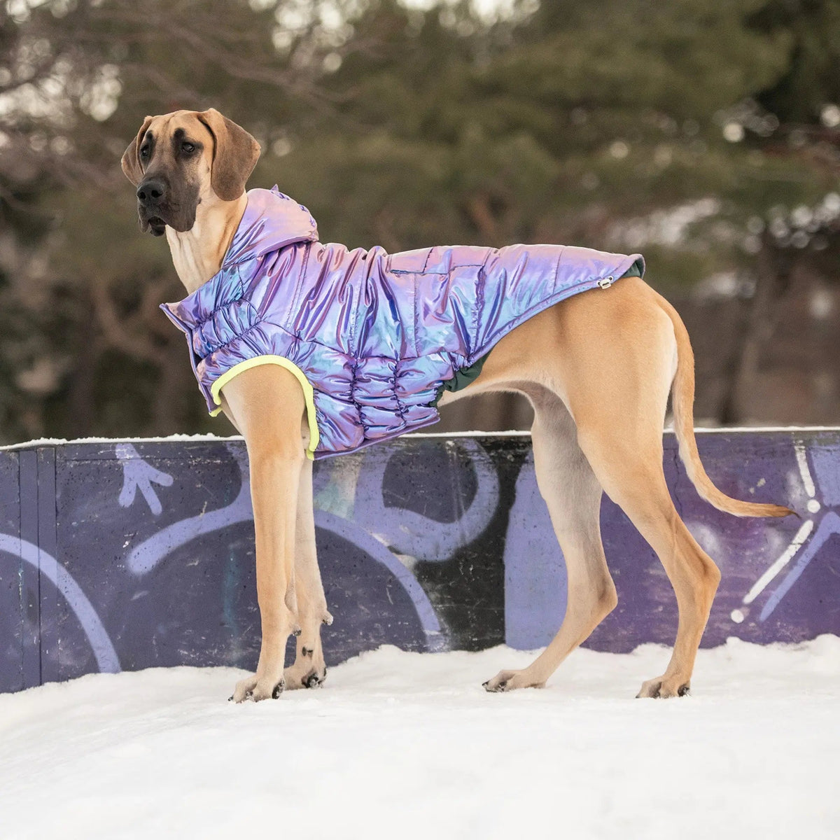 Recycled Dog Parka Iridescent | Weather-Resistant Pet Jacket