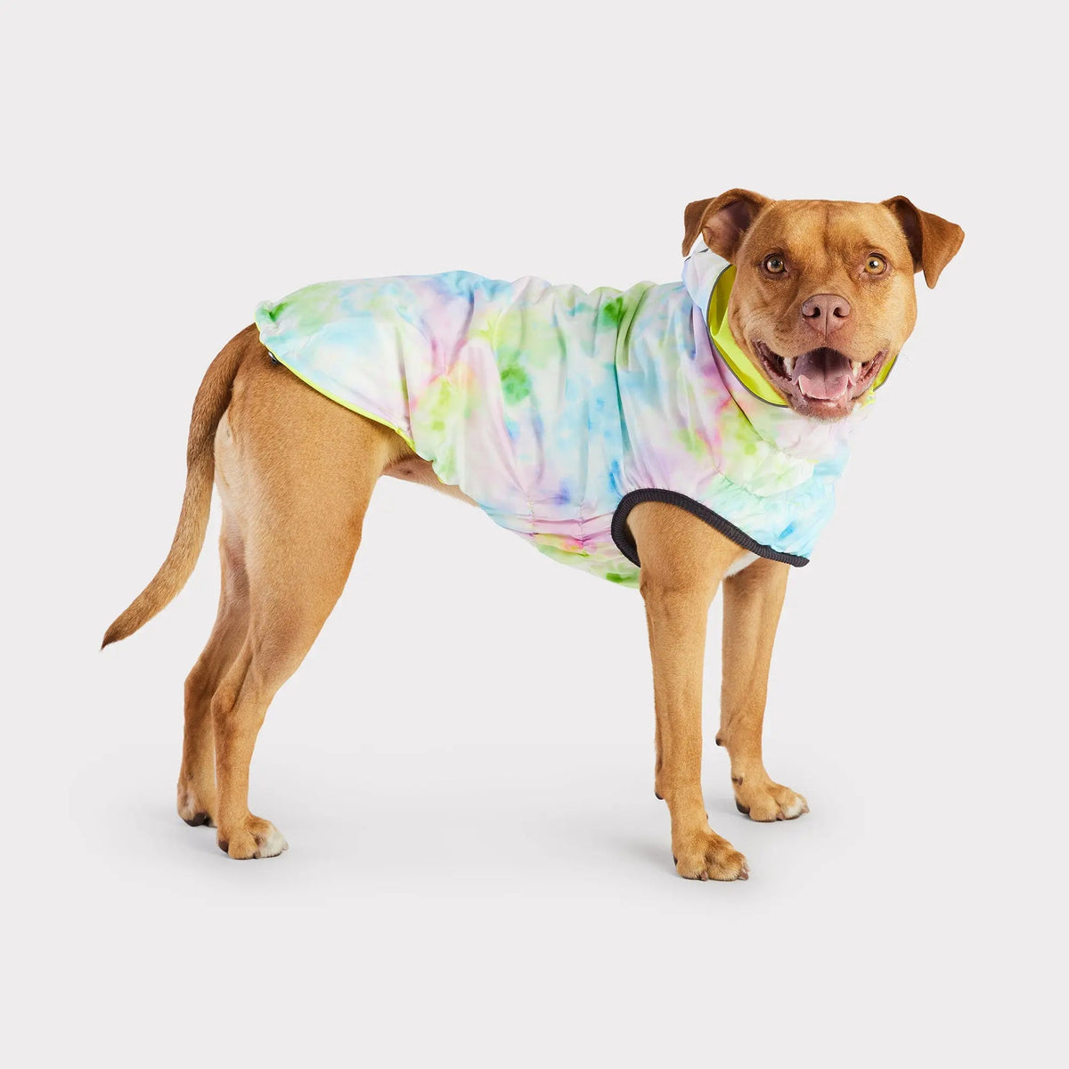 Waterproof Reversible Dog Raincoat with Hood – Neon Yellow & Tie-Dye