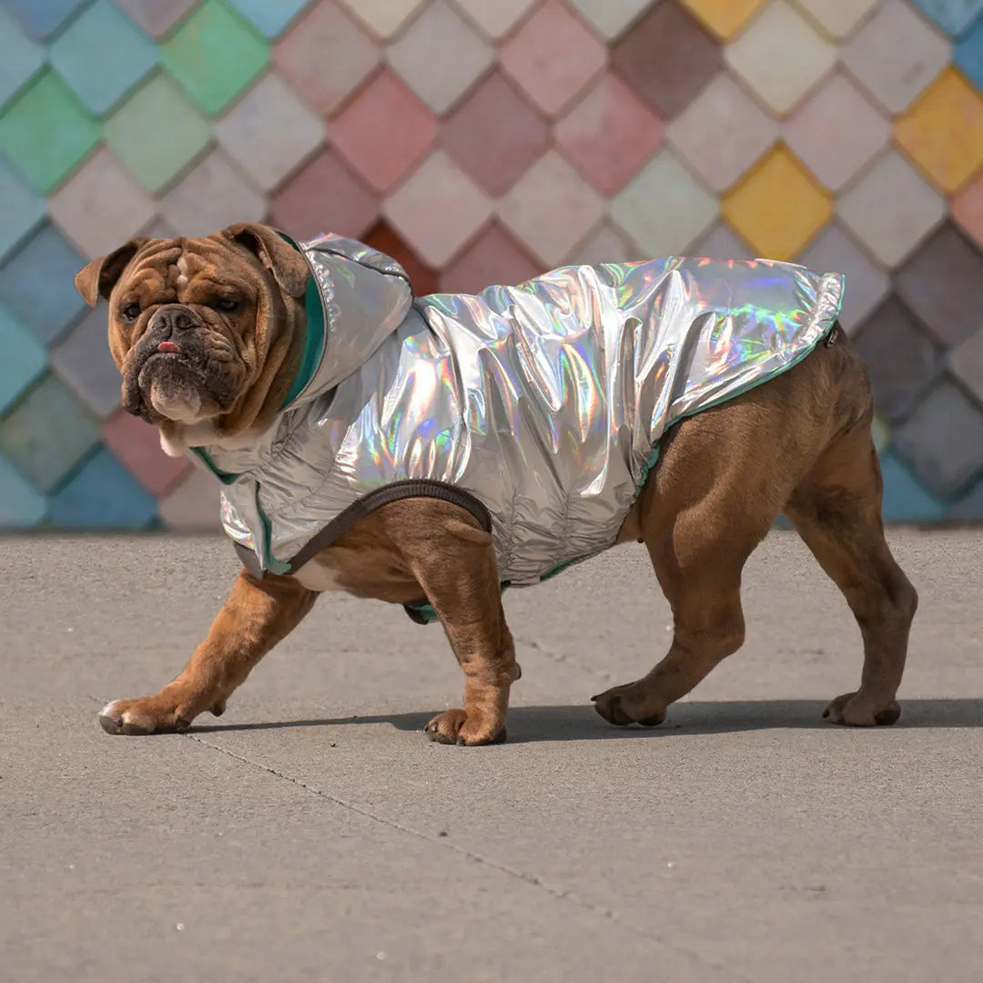 Waterproof Reversible Dog Raincoat with Hood – Neon Aqua