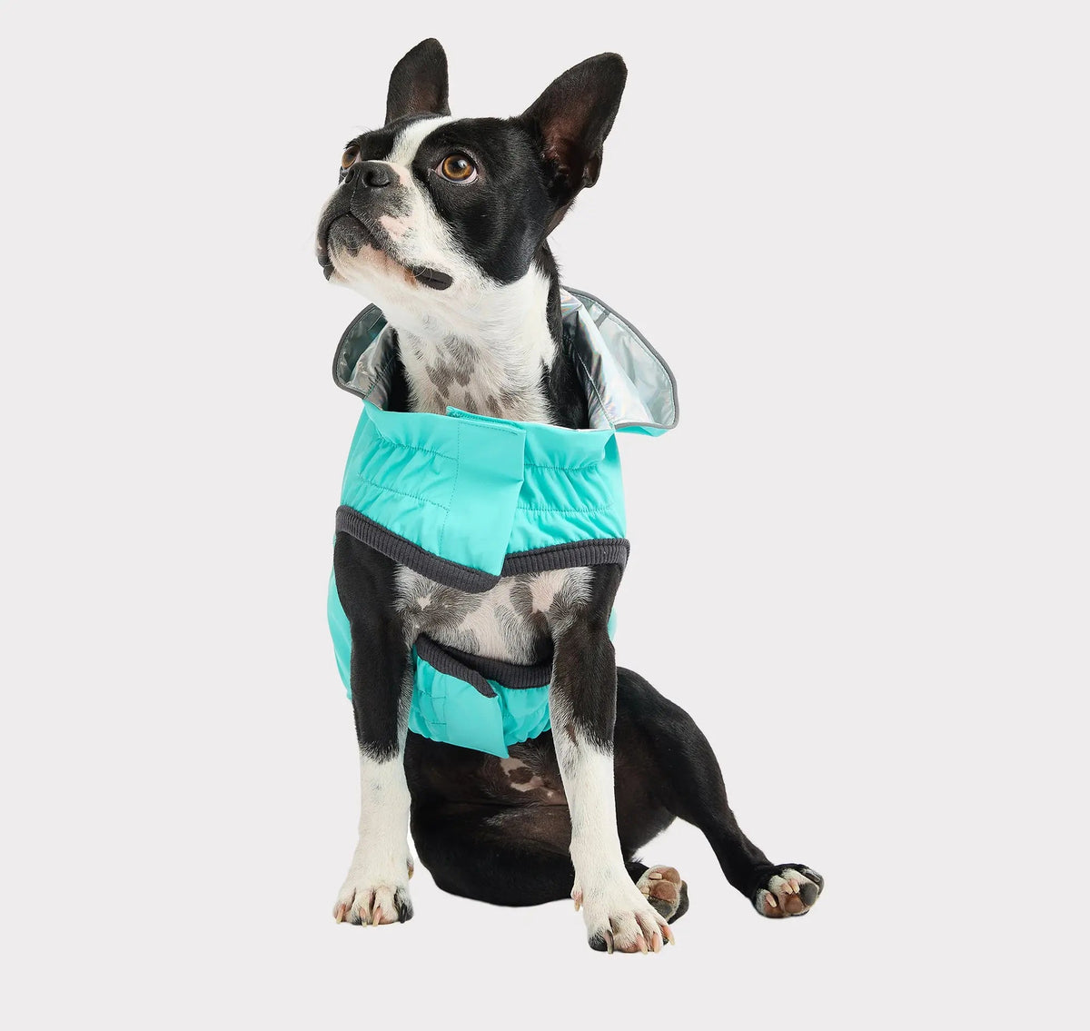 Waterproof Reversible Dog Raincoat with Hood – Neon Aqua
