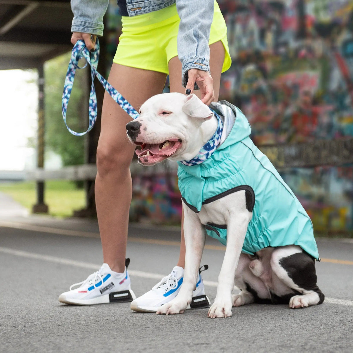 Waterproof Reversible Dog Raincoat with Hood – Neon Aqua