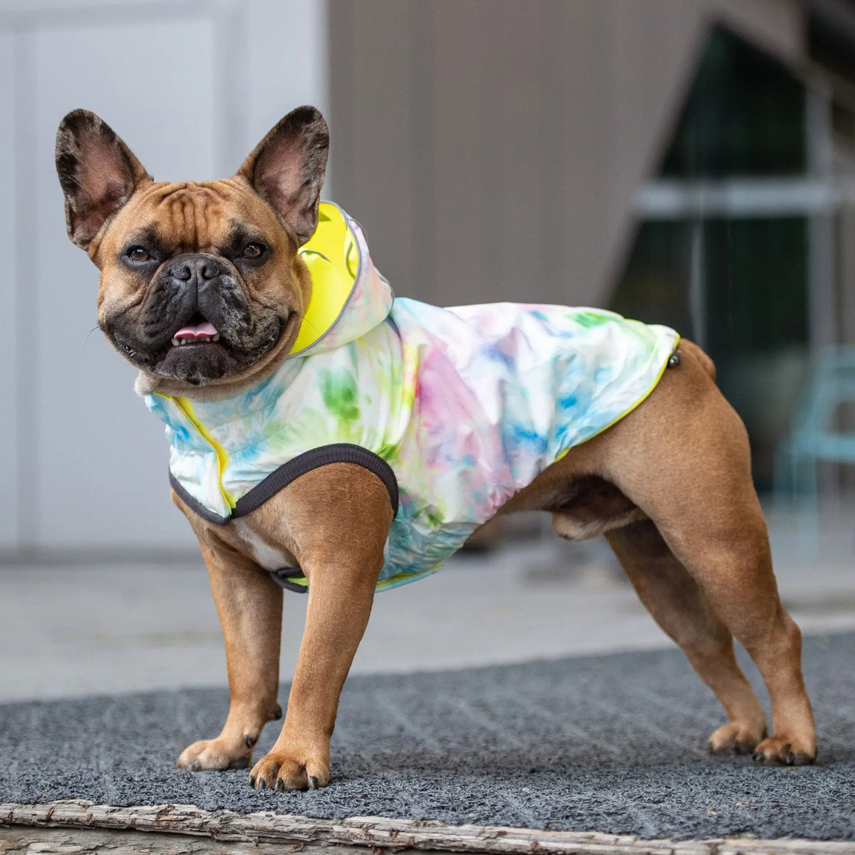 Waterproof Reversible Dog Raincoat with Hood – Neon Yellow & Tie-Dye