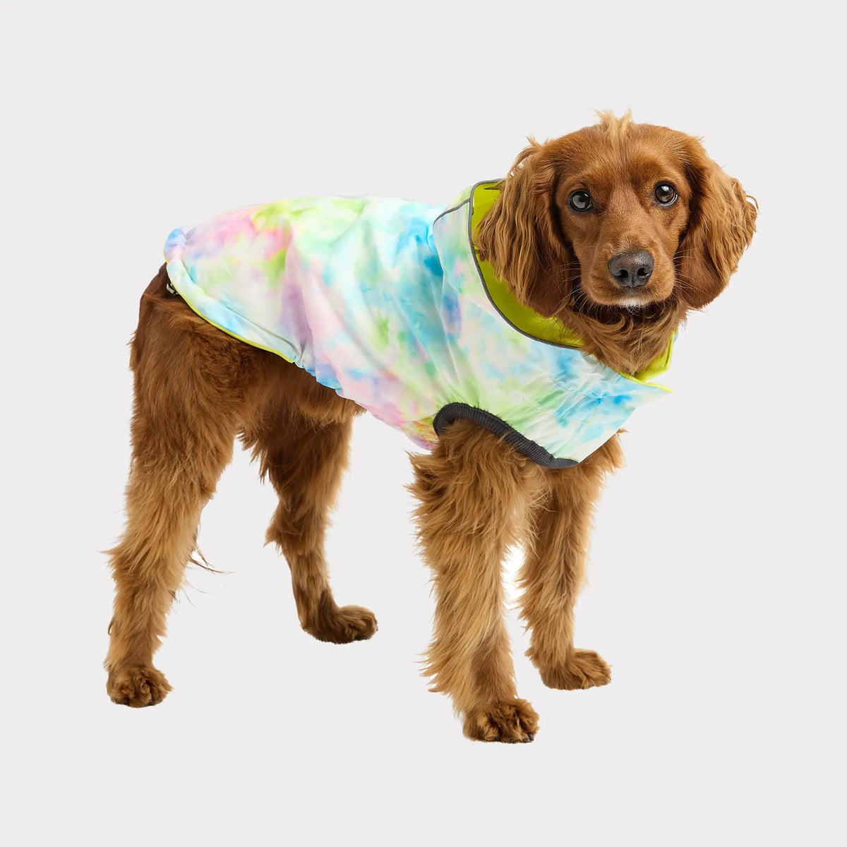 Waterproof Reversible Dog Raincoat with Hood – Neon Yellow & Tie-Dye