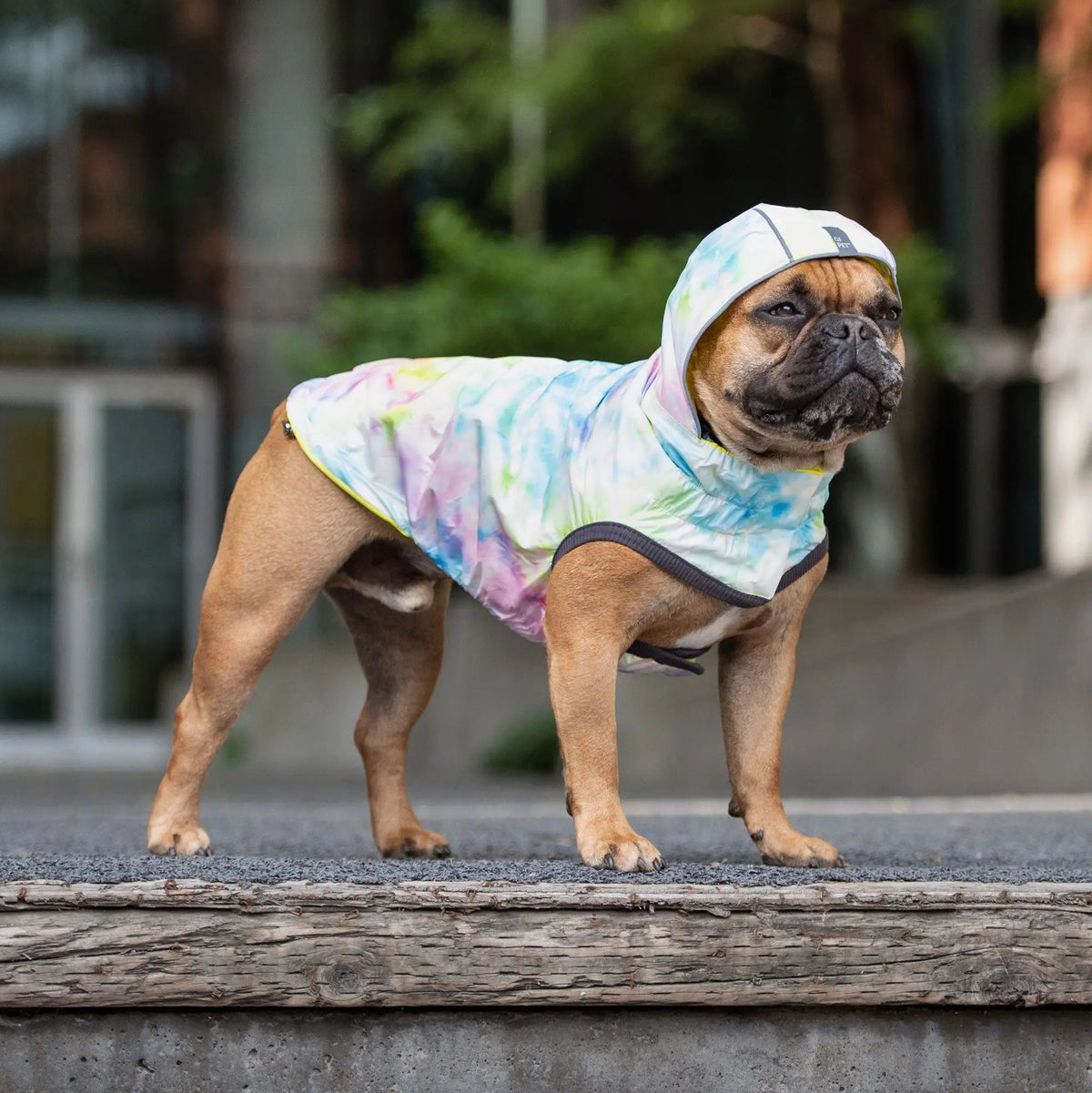 Waterproof Reversible Dog Raincoat with Hood – Neon Yellow & Tie-Dye