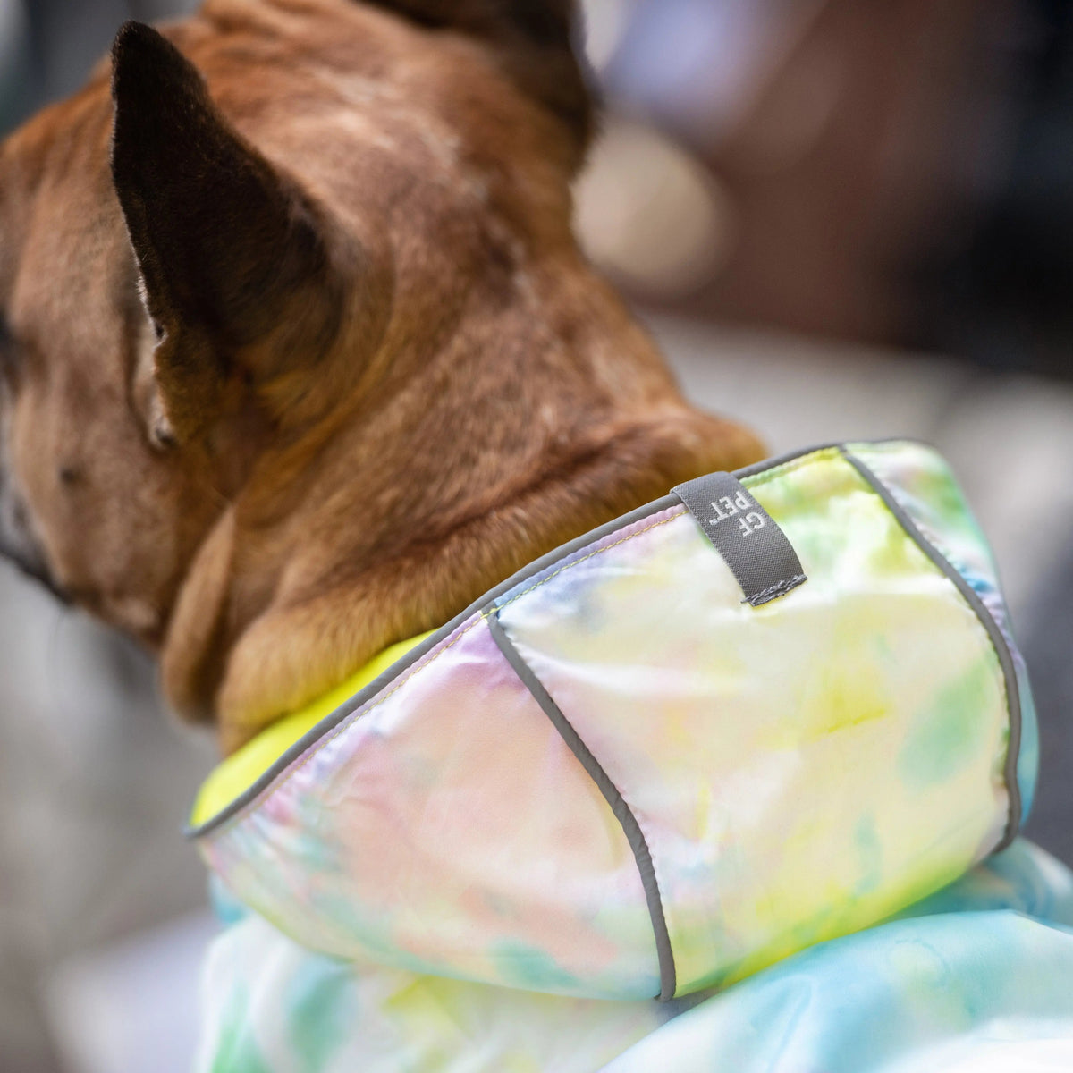 Waterproof Reversible Dog Raincoat with Hood – Neon Yellow & Tie-Dye