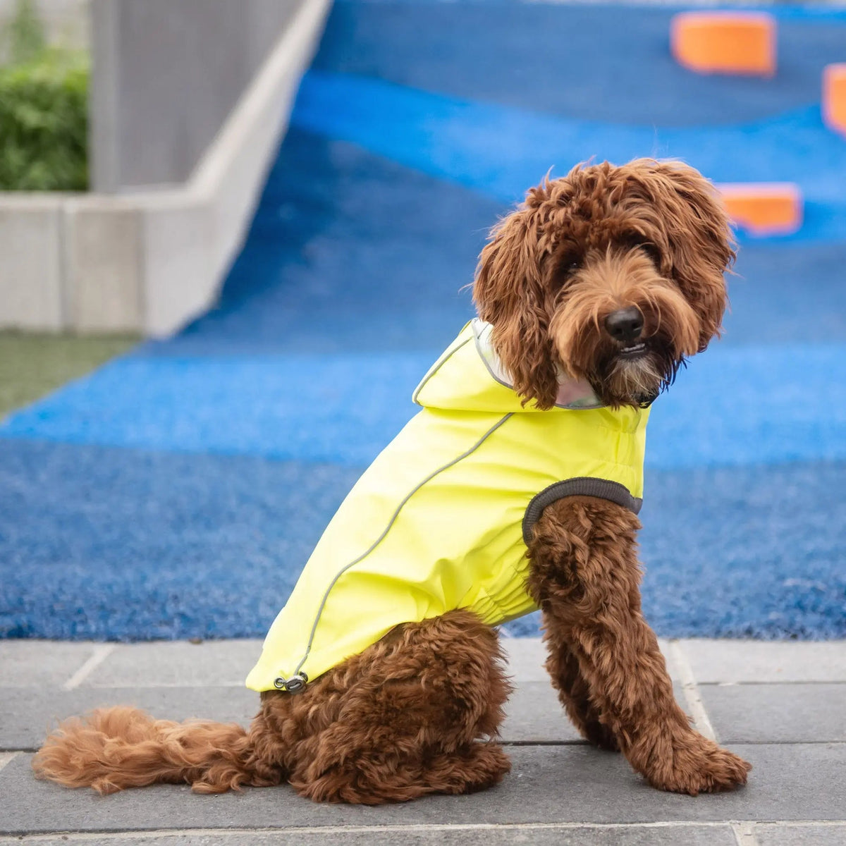 Waterproof Reversible Dog Raincoat with Hood – Neon Yellow & Tie-Dye