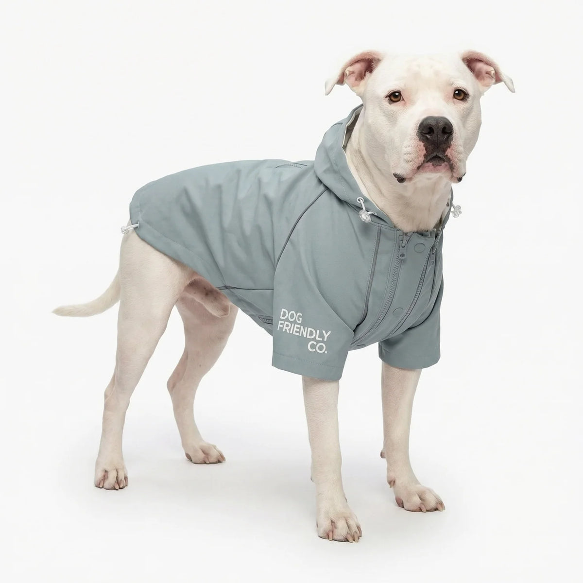 Waterproof Dog Raincoat Grey – Storm Pro All-Weather Protection