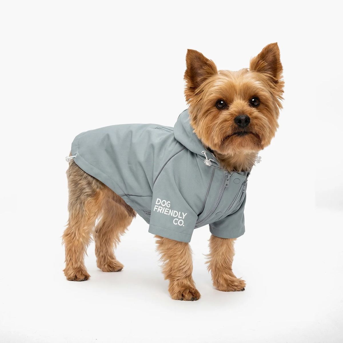 Waterproof Dog Raincoat Grey – Storm Pro All-Weather Protection