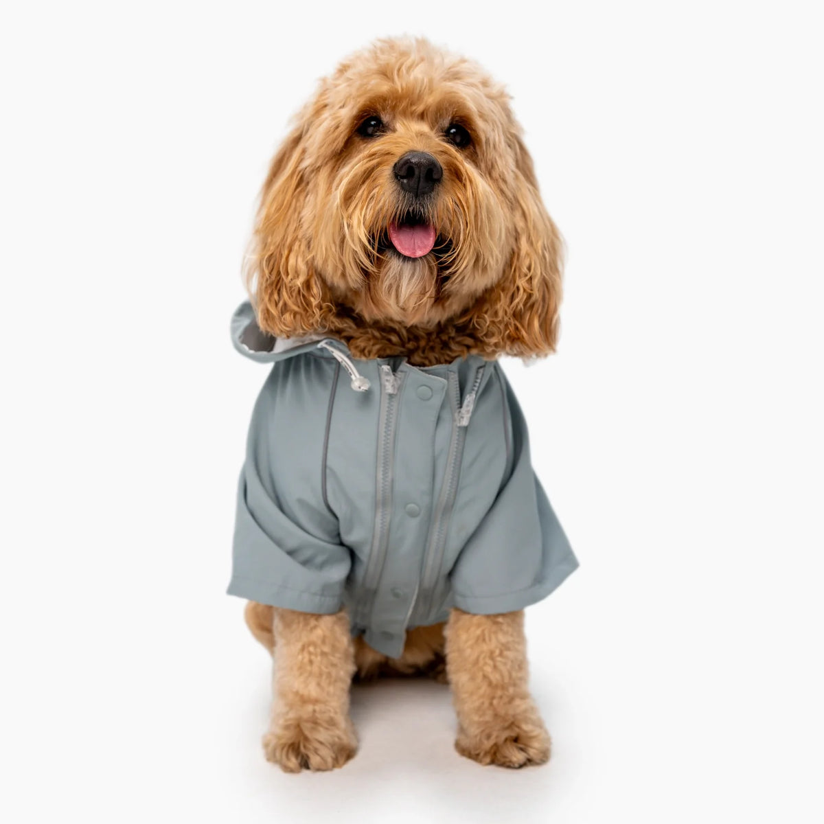 Waterproof Dog Raincoat Grey – Storm Pro All-Weather Protection
