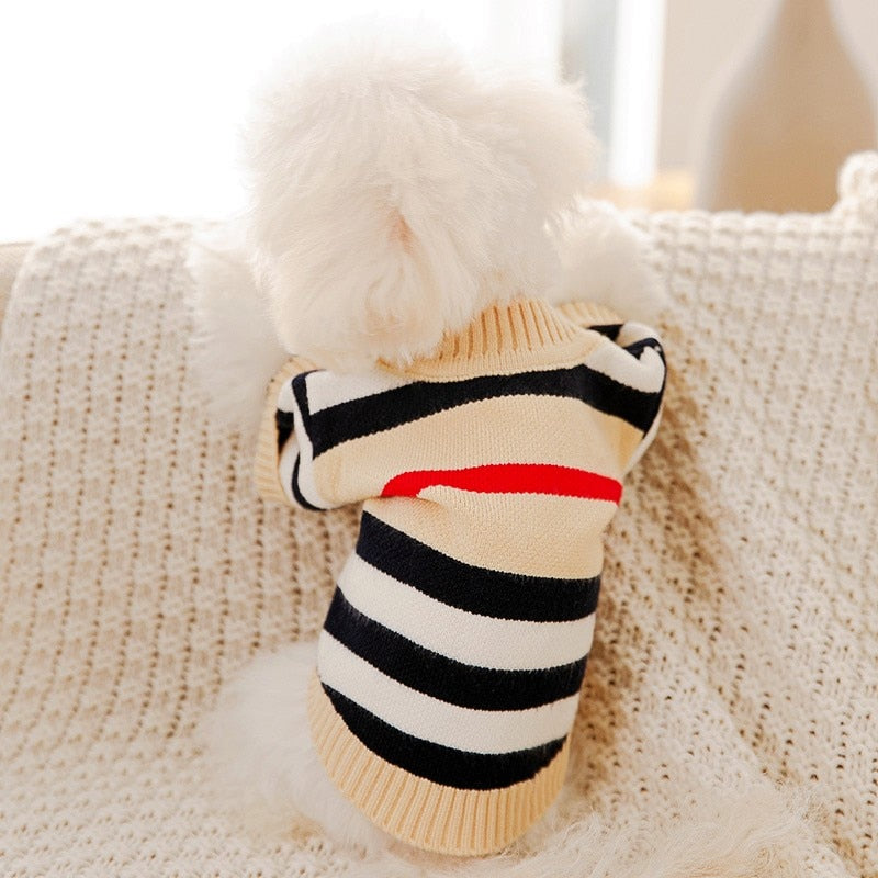 Striped Button-Down Cardigan Sweater for Dogs | Posh Dog Life