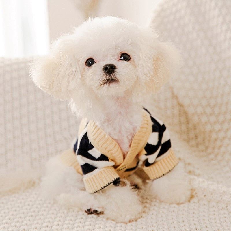 Striped Button-Down Cardigan Sweater for Dogs | Posh Dog Life