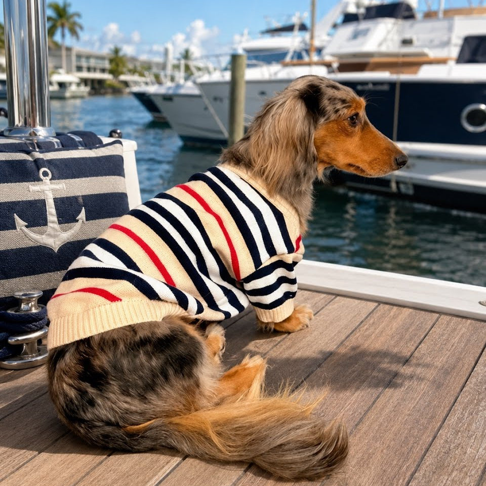 Striped Button-Down Cardigan Sweater for Dogs | Posh Dog Life