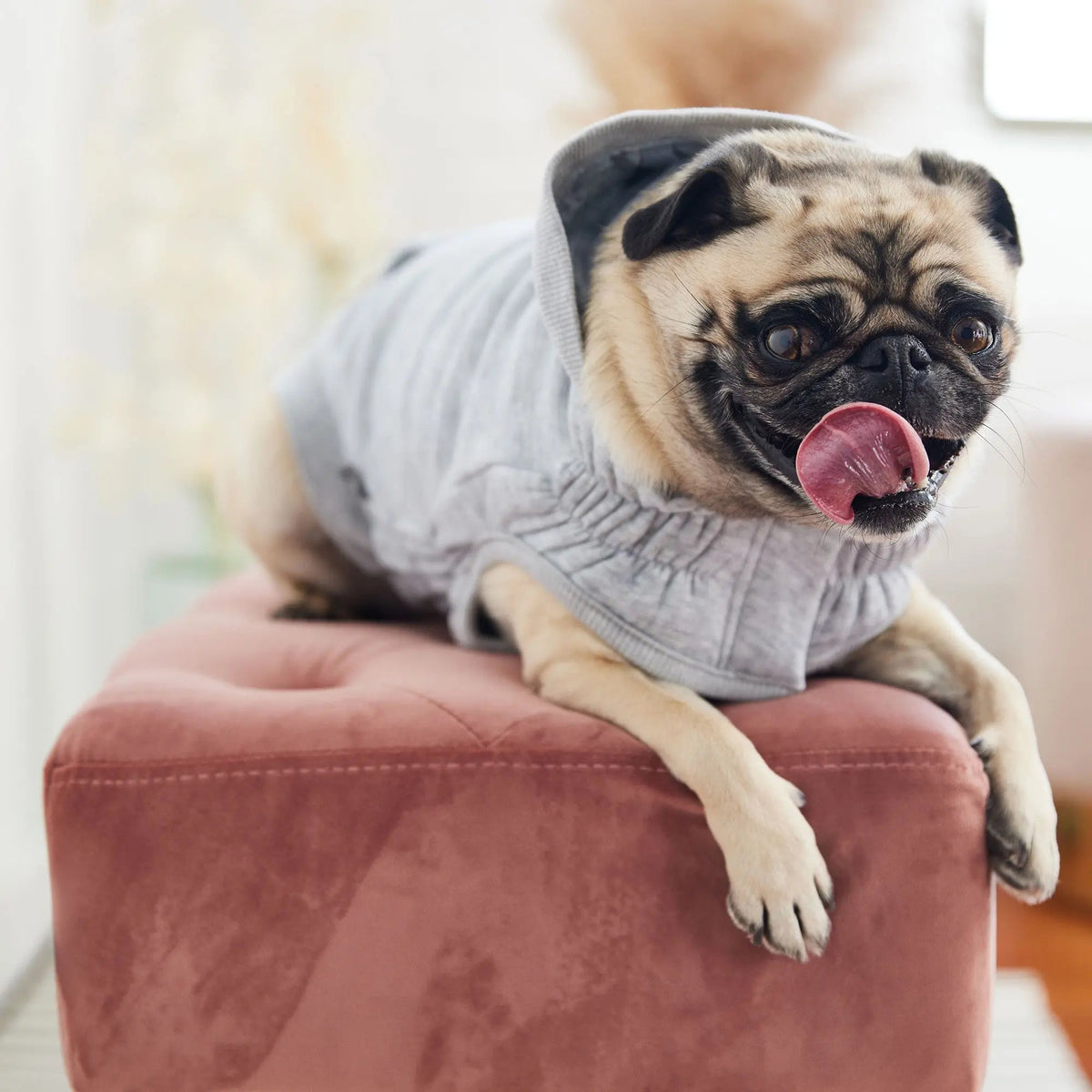 Dog Hoodie Heather Grey | Soft Fleece Pet Sweatshirt