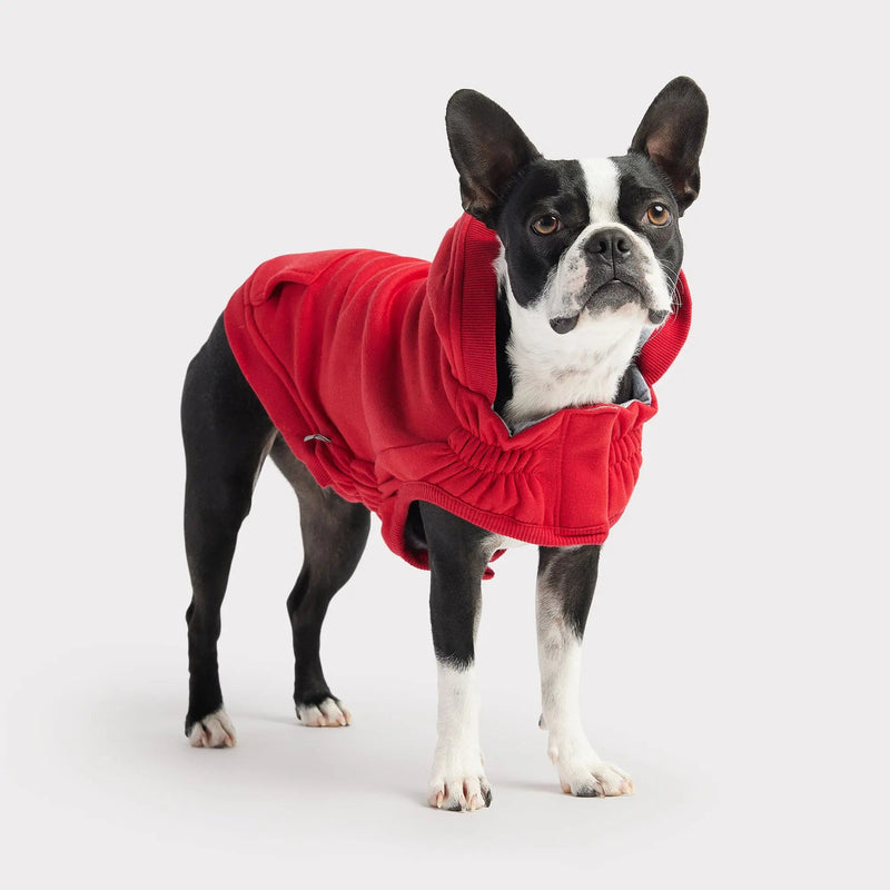 Red Dog Hoodie with Kangaroo Pocket | GF PET Urban