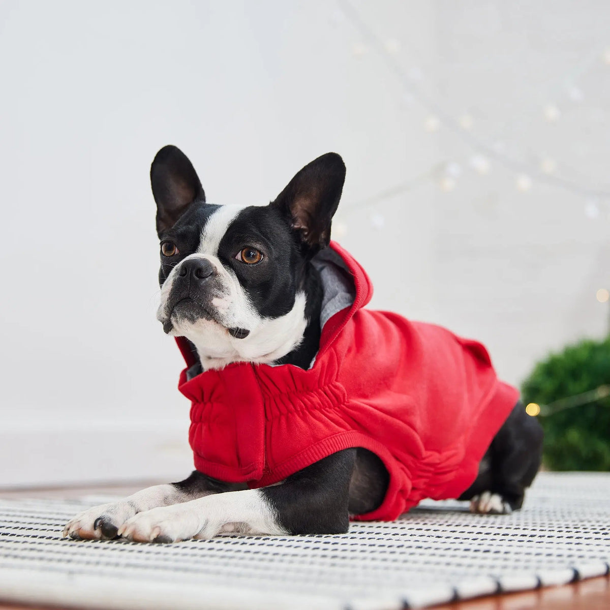 Red Dog Hoodie with Kangaroo Pocket | GF PET Urban