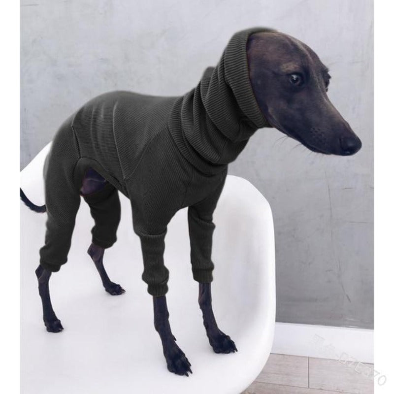 Cotton Turtleneck Dog Sweater – Cozy Winter Warmth for All Breeds
