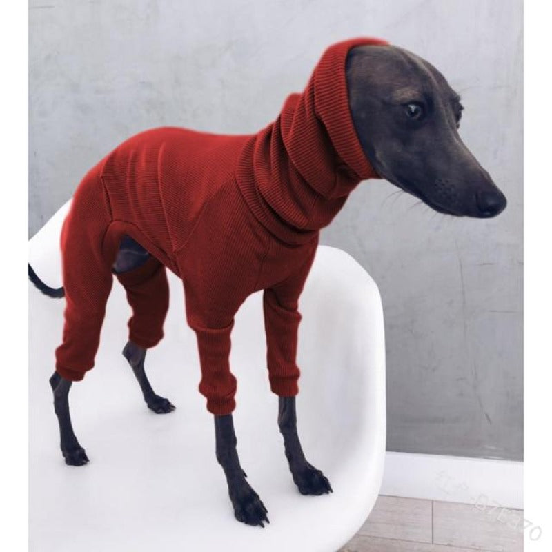 Cotton Turtleneck Dog Sweater – Cozy Winter Warmth for All Breeds