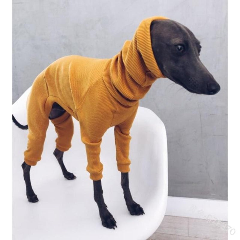 Cotton Turtleneck Dog Sweater – Cozy Winter Warmth for All Breeds